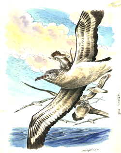 「冒険者たち」表紙絵