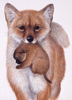 「冒険者たち」表紙絵