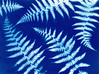 サイアノタイプ